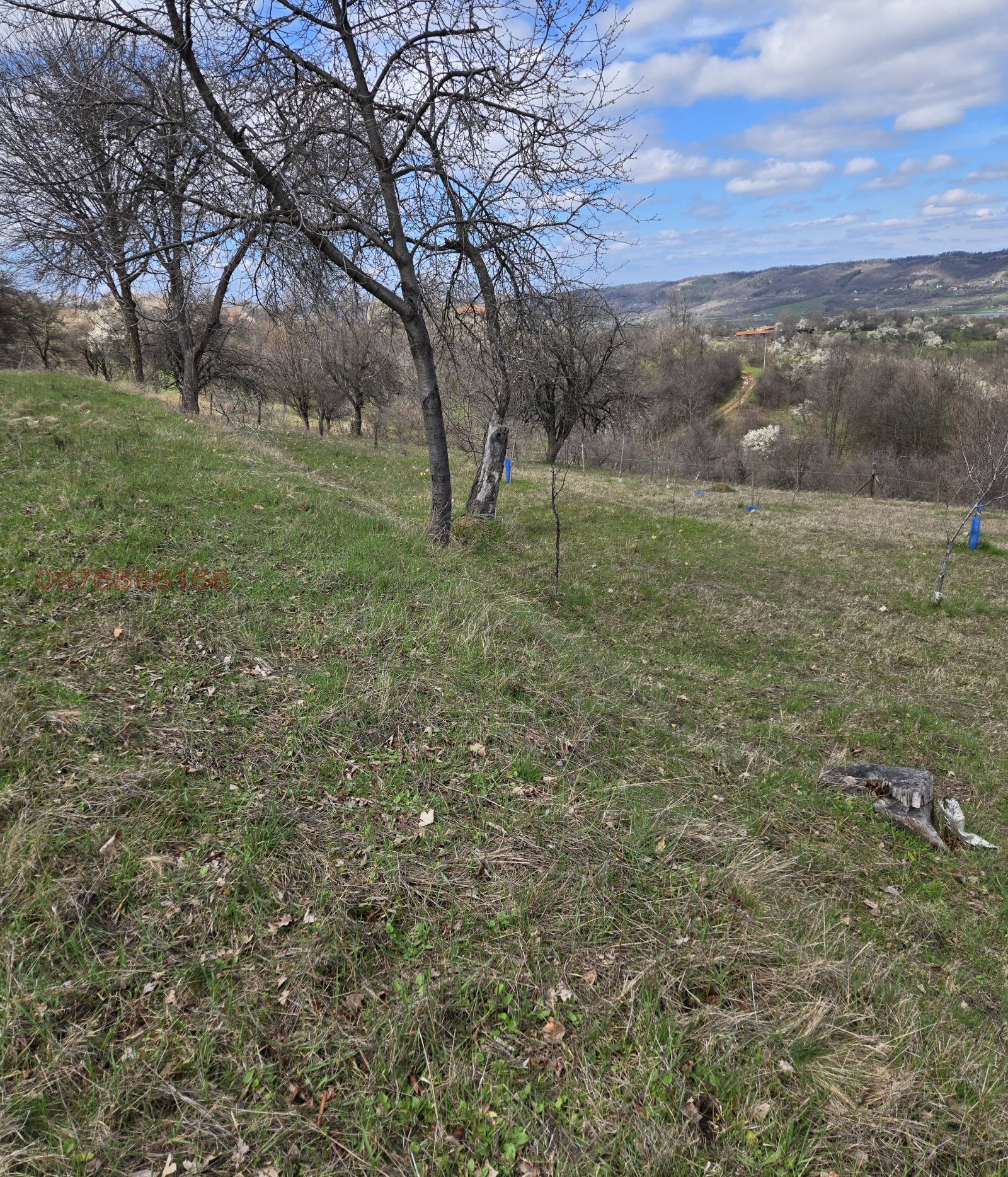 ������� ������ | Imot.bg � ����������� 11