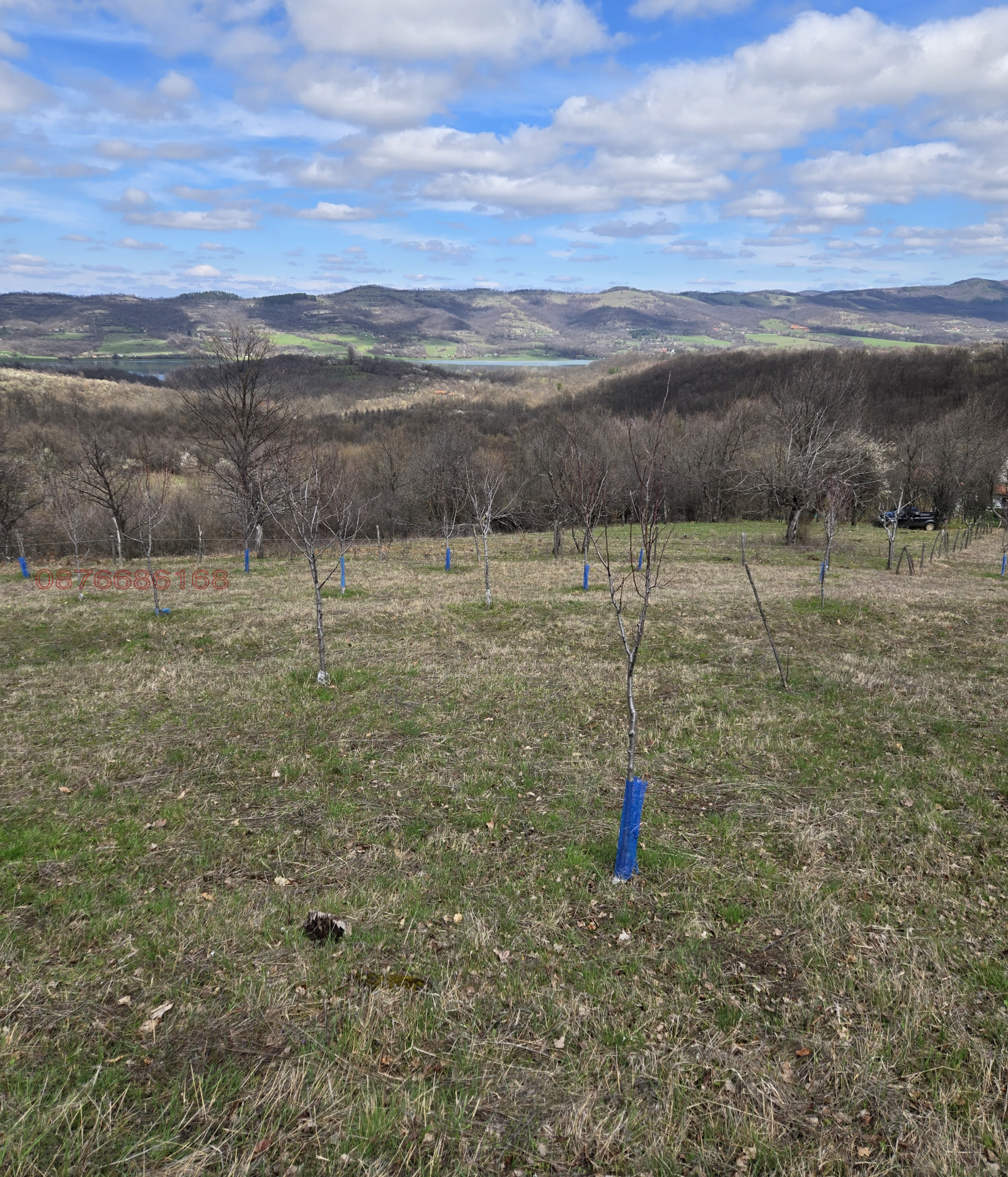 ������� ������ | Imot.bg � ����������� 10