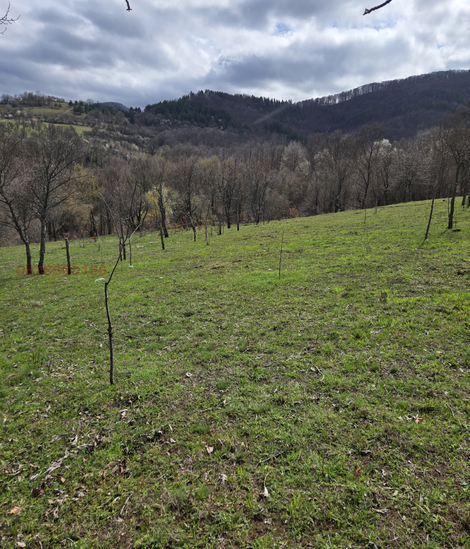 ������� ������ | Imot.bg � ����������� 3