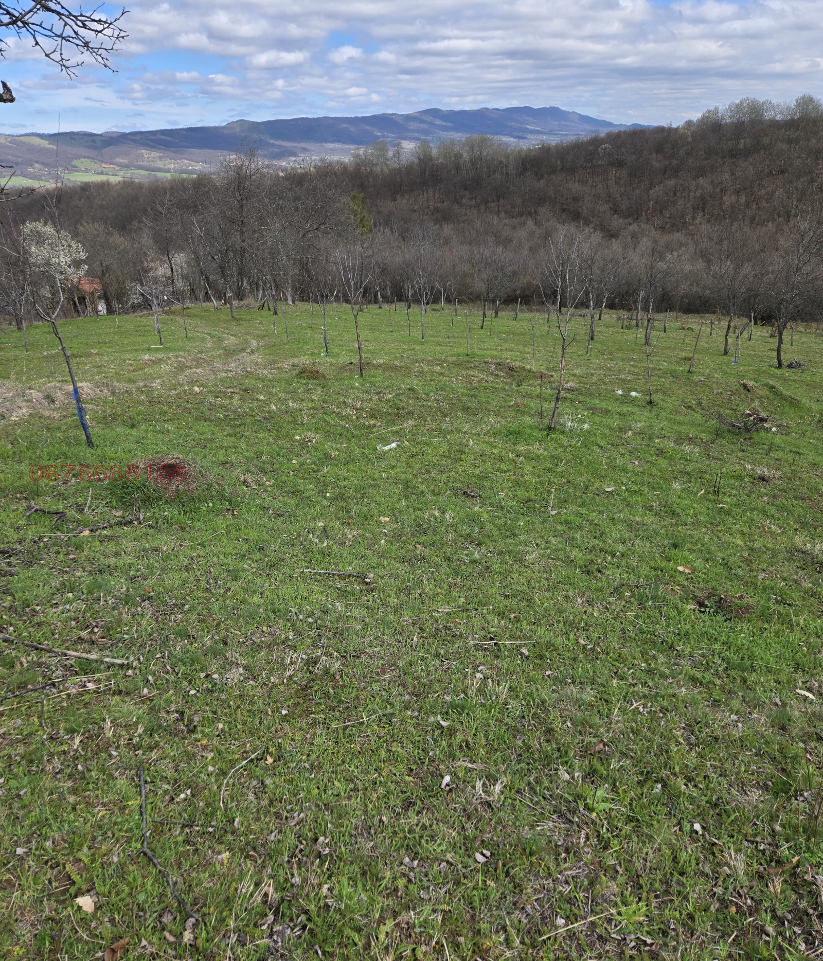 ������� ������ | Imot.bg � ����������� 12