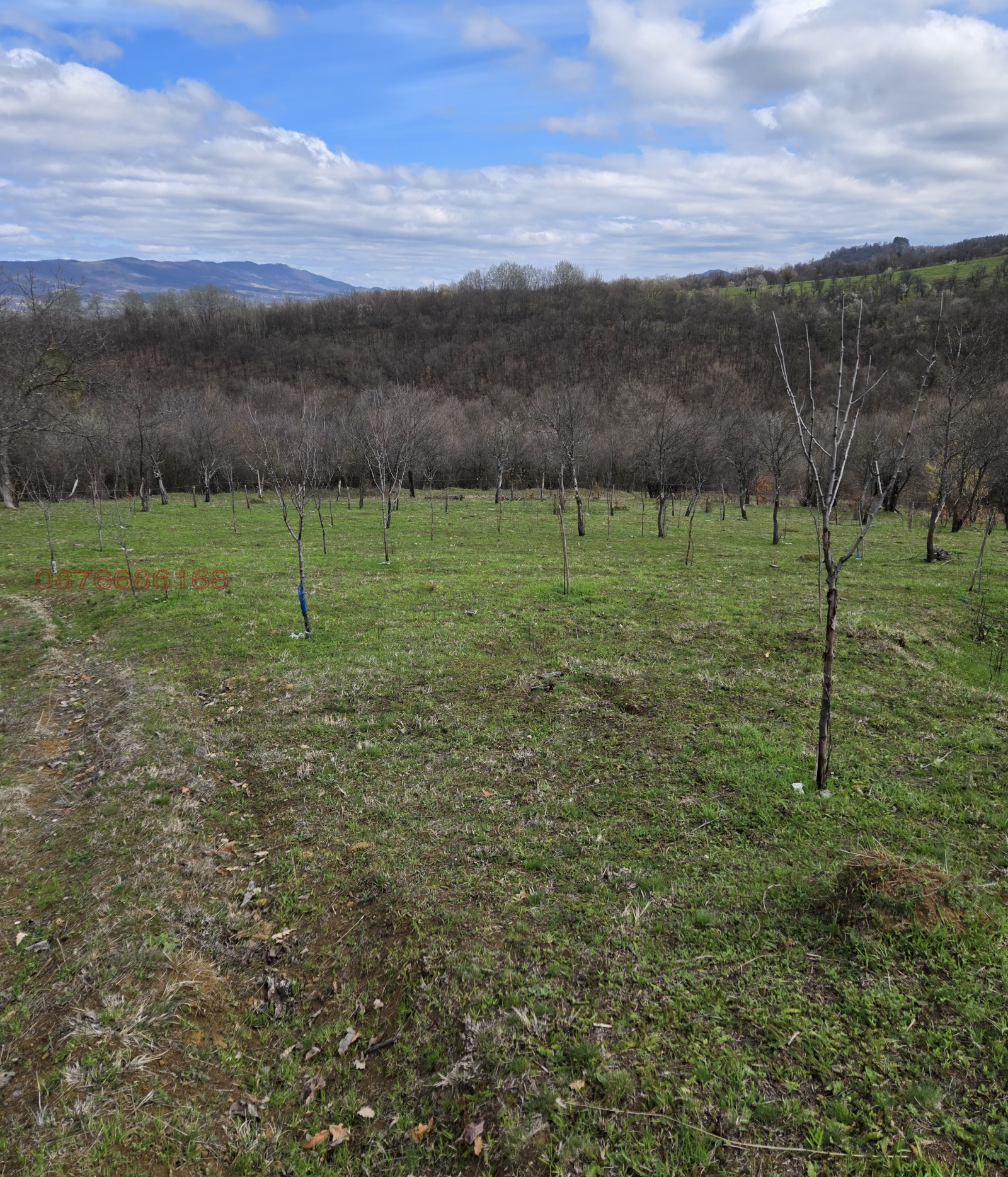 ������� ������ | Imot.bg � ����������� 13