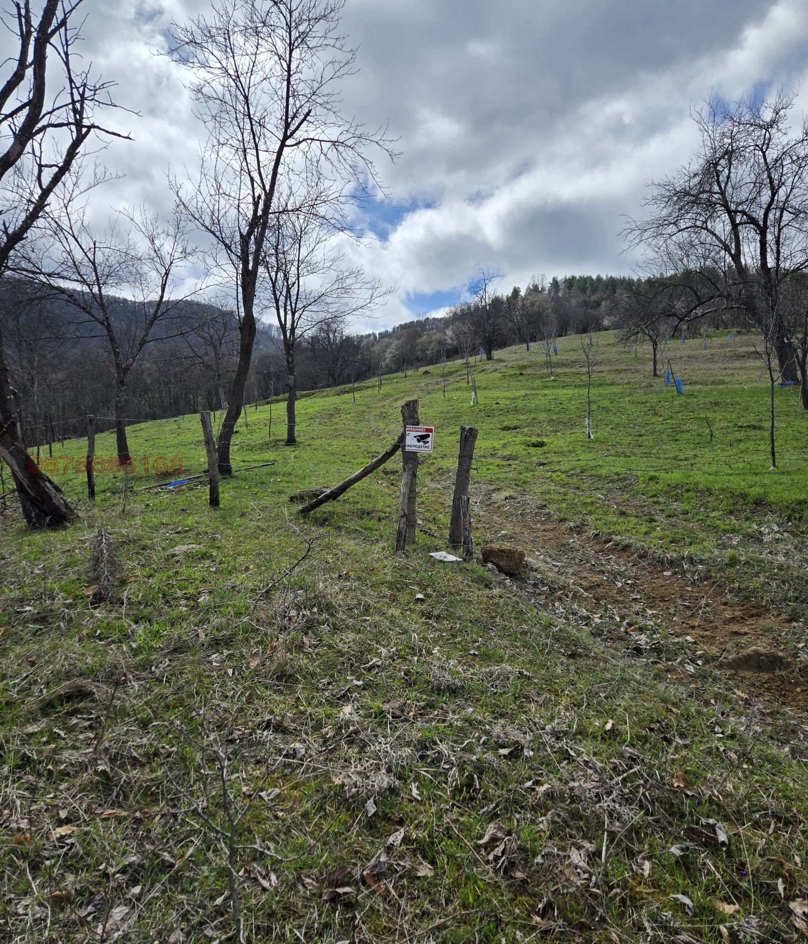 ������� ������ | Imot.bg � ����������� 17