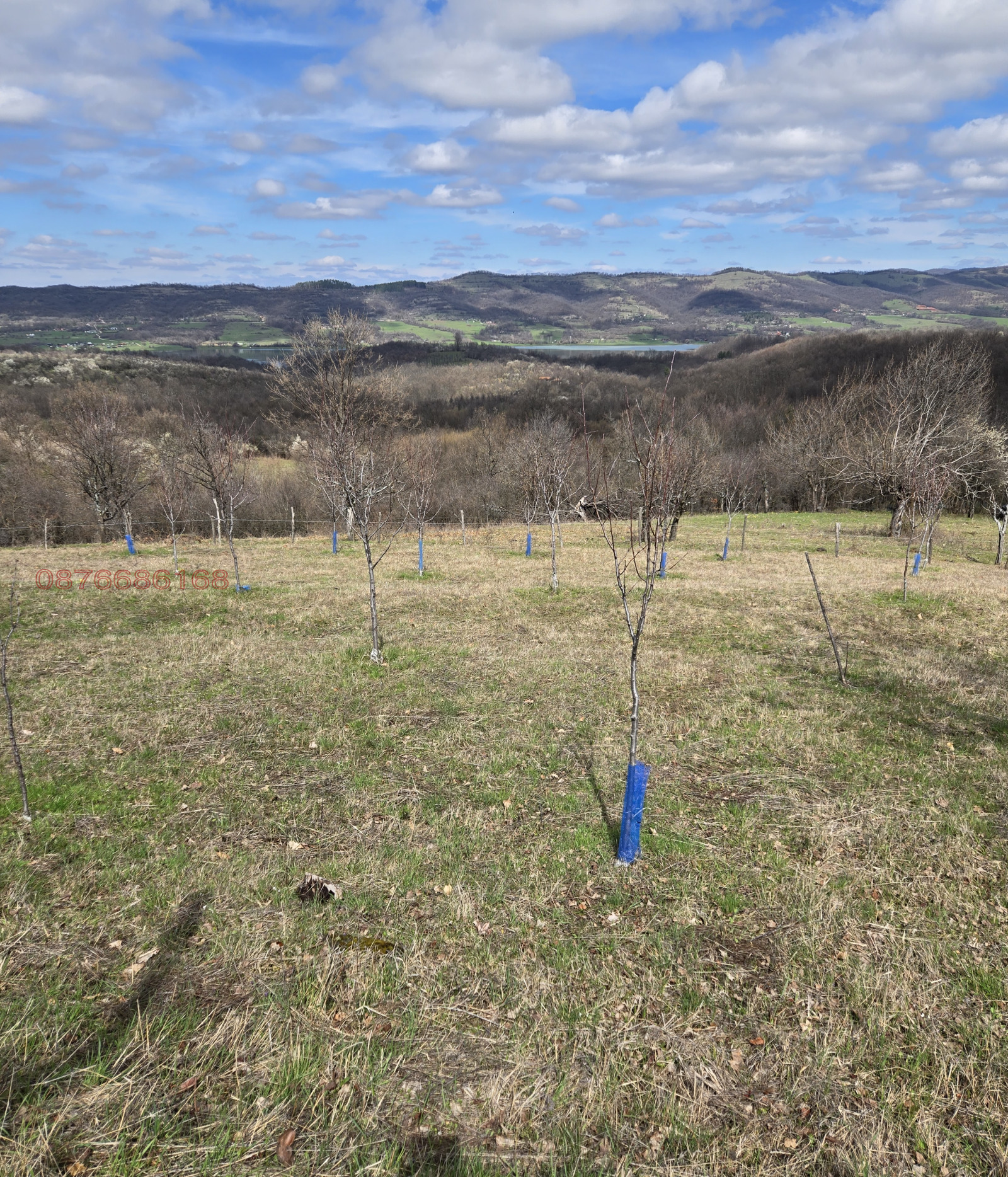 ������� ������ | Imot.bg � ����������� 9