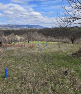 ������� ������ | Imot.bg � ����� ������ 8