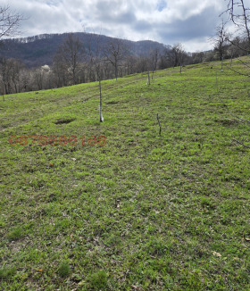 ������� ������ | Imot.bg � ����� ������ 4