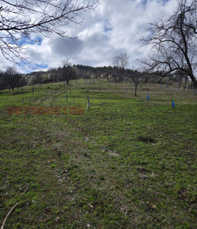 ������� ������ | Imot.bg � ����� ������ 15