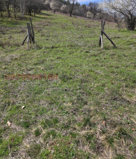 ������� ������ | Imot.bg � ����� ������ 6