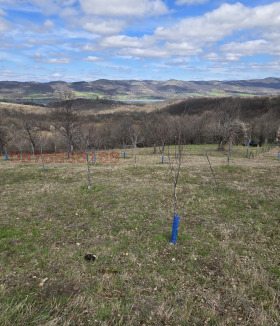 ������� ������ | Imot.bg � ����� ������ 10