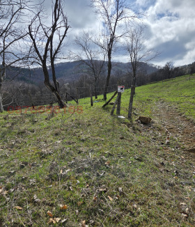 ������� ������ | Imot.bg � ����� ������ 2