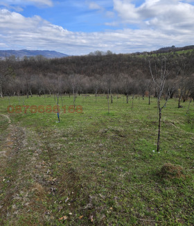 ������� ������ | Imot.bg � ����� ������ 13