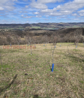 ������� ������ | Imot.bg � ����� ������ 9