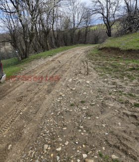 ����� ������� ������,�. ������ �������, ������ �����