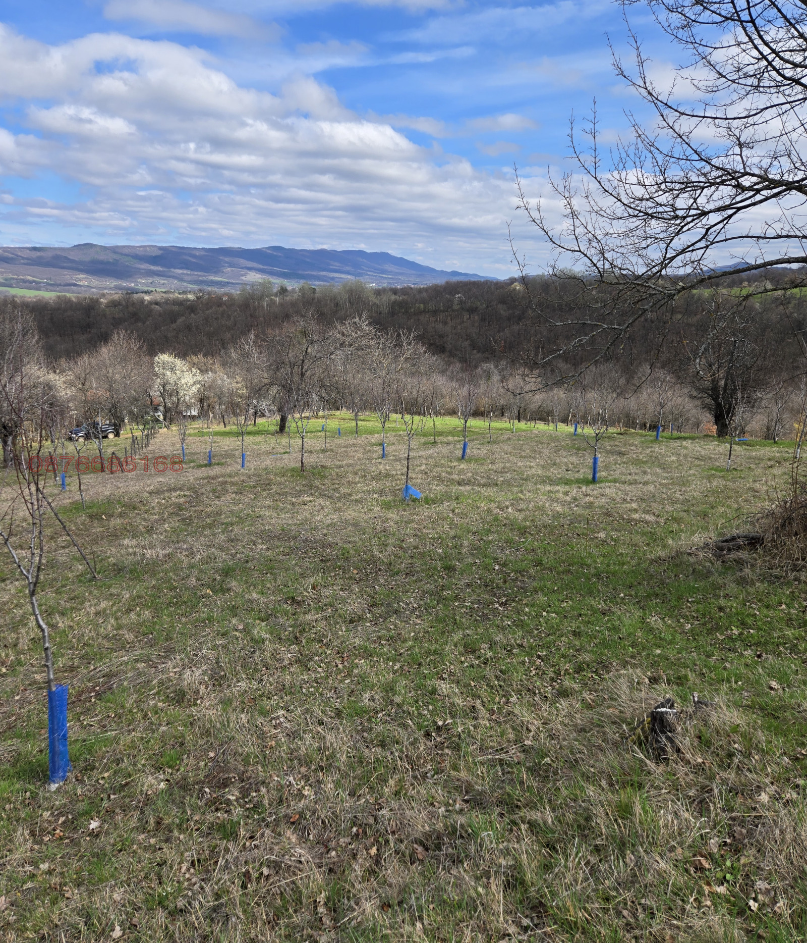 Продава ПАРЦЕЛ, с. Голяма Желязна, област Ловеч, снимка 7 - Парцели - 54051847