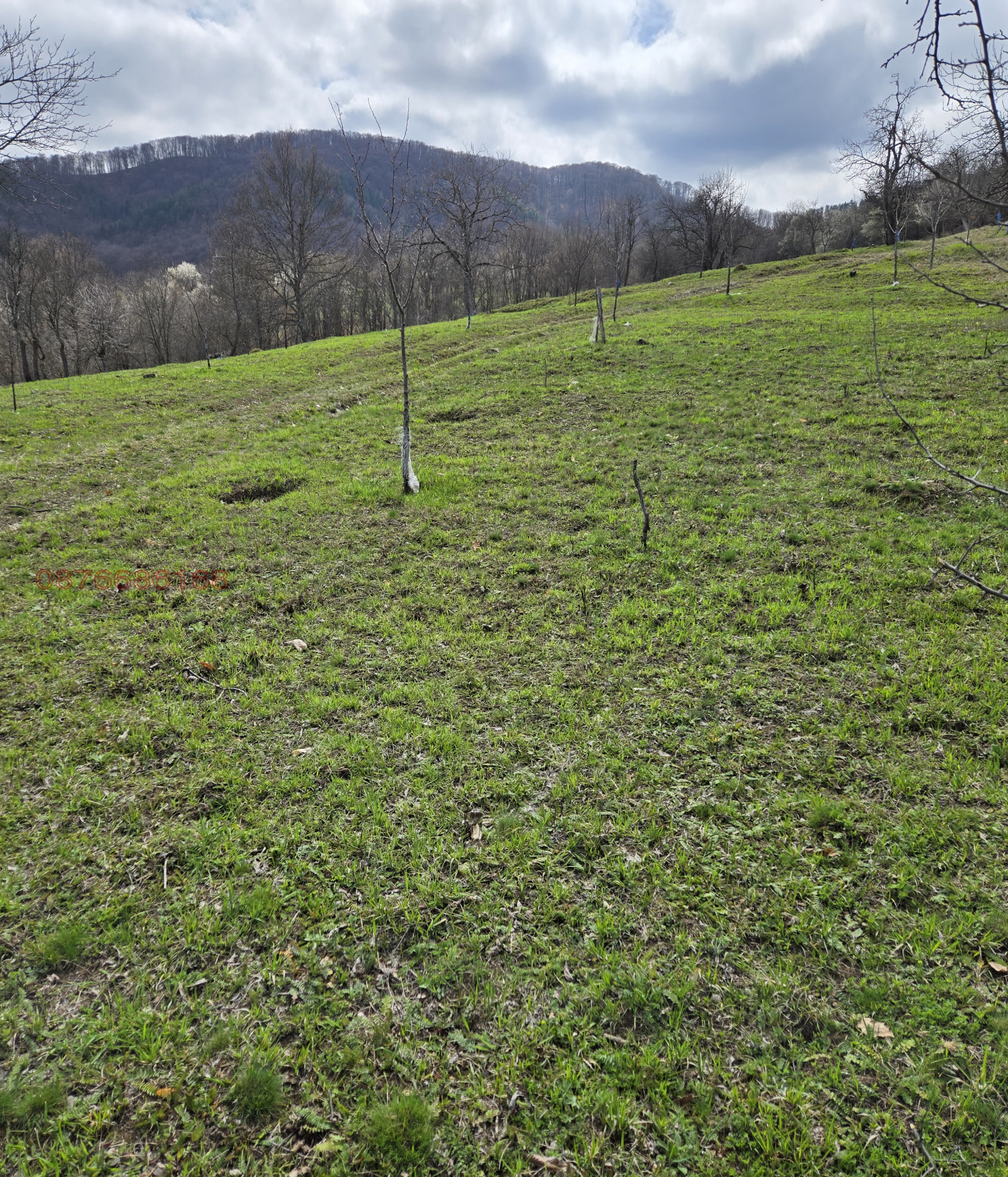 Продава ПАРЦЕЛ, с. Голяма Желязна, област Ловеч, снимка 3 - Парцели - 54051847