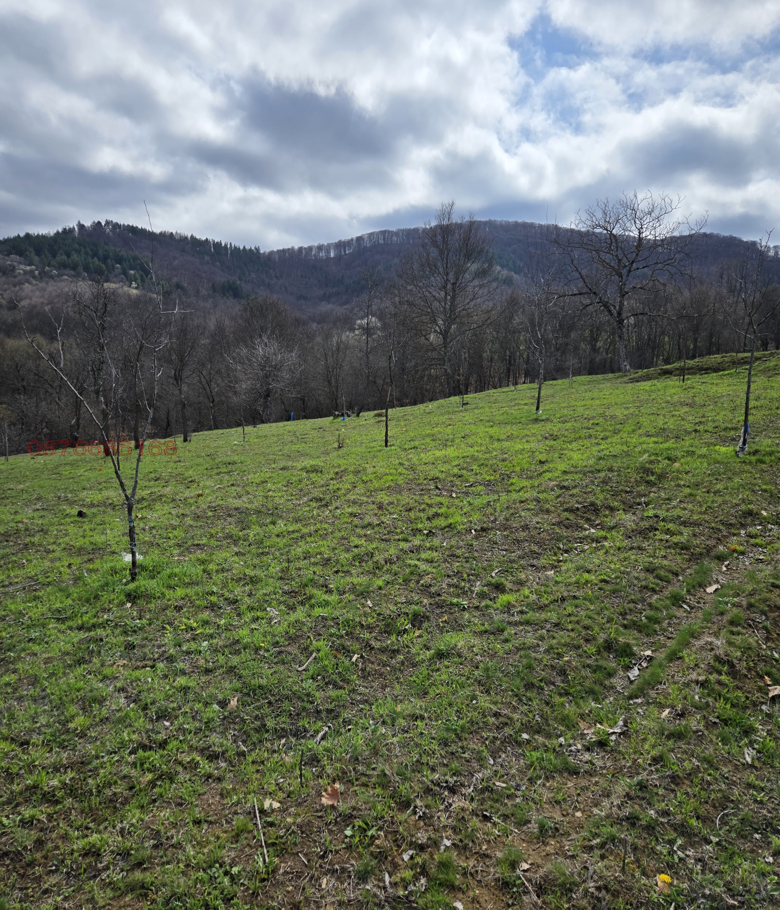 Продава ПАРЦЕЛ, с. Голяма Желязна, област Ловеч, снимка 13 - Парцели - 54051847