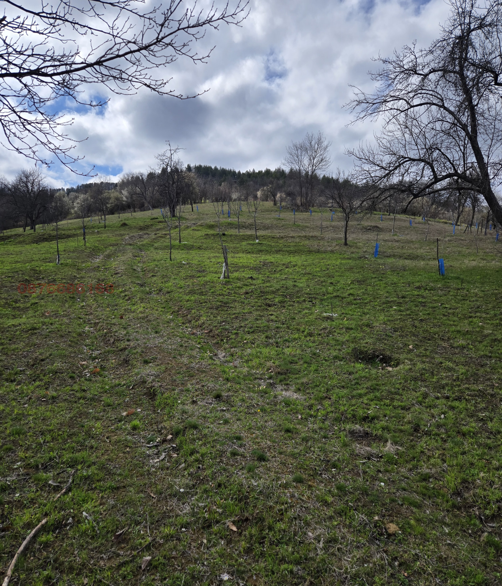 Продава ПАРЦЕЛ, с. Голяма Желязна, област Ловеч, снимка 14 - Парцели - 54051847