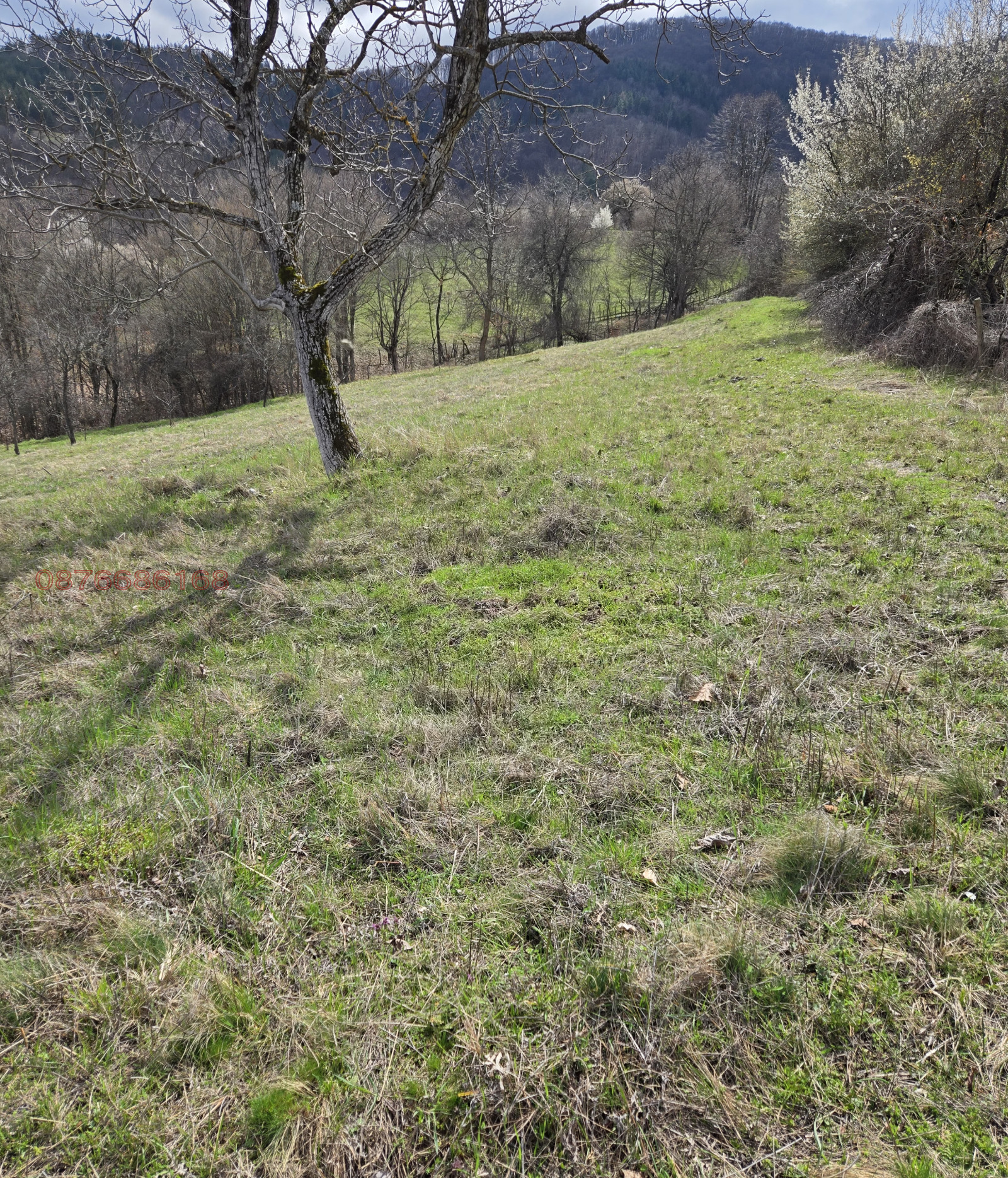 Продава ПАРЦЕЛ, с. Голяма Желязна, област Ловеч, снимка 6 - Парцели - 54051847