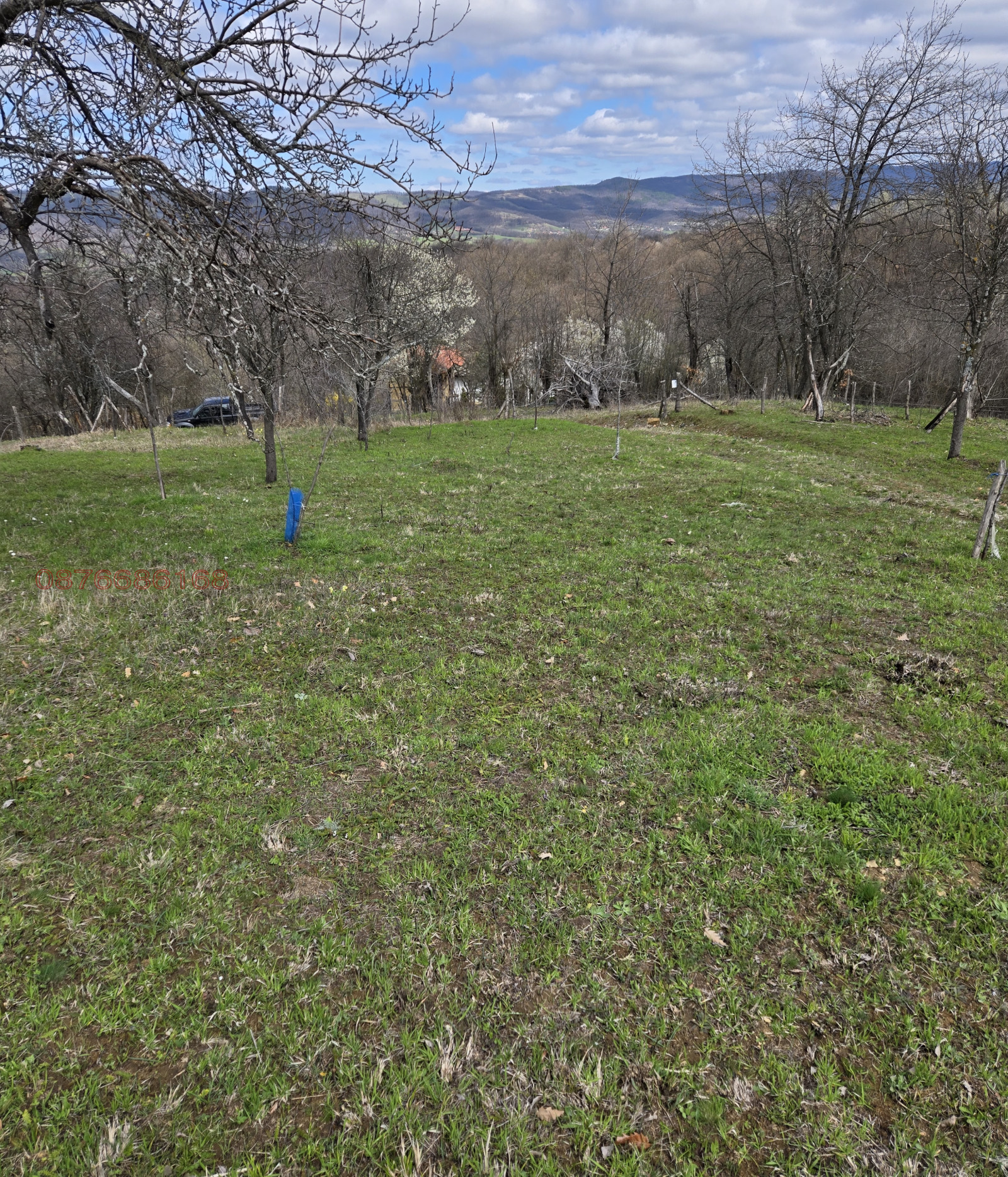 Продава ПАРЦЕЛ, с. Голяма Желязна, област Ловеч, снимка 4 - Парцели - 54051847