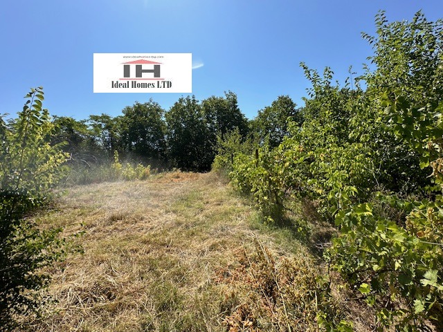 ������� ���� | Imot.bg � ����������� 13