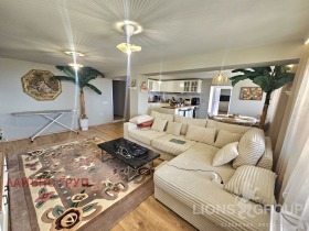 ����� ������� ����,���� �����, ������