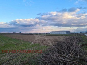 ����� ������� ������,�. �������, ������ �������