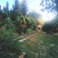 Продава КЪЩА, гр. София, с. Панчарево, снимка 13