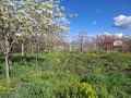 Продава КЪЩА, с. Калояново, област Сливен, снимка 7