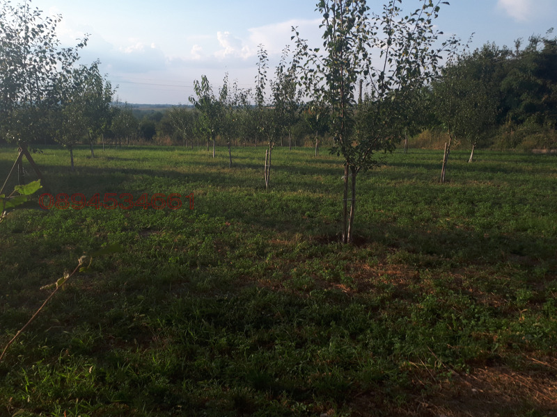 Продава ПАРЦЕЛ, с. Долна Вереница, област Монтана, снимка 11 - Парцели - 52779632