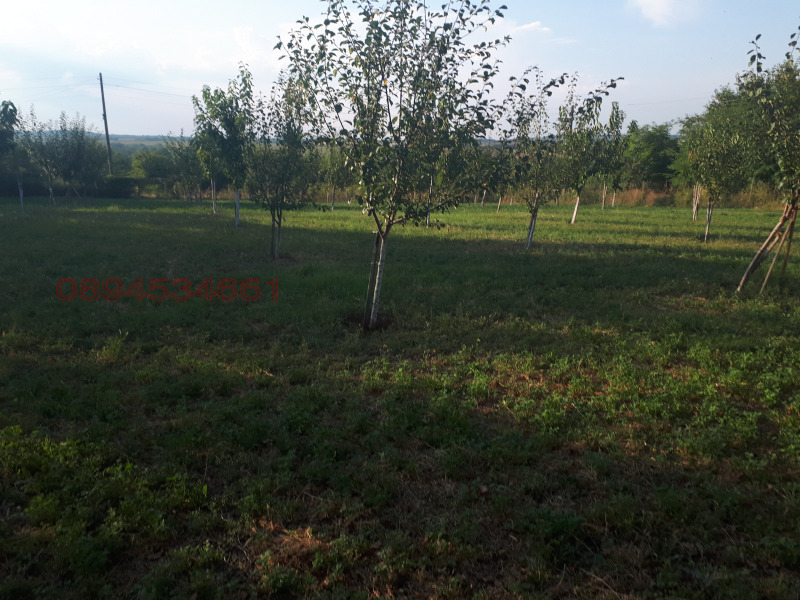 Продава ПАРЦЕЛ, с. Долна Вереница, област Монтана, снимка 10 - Парцели - 52779632