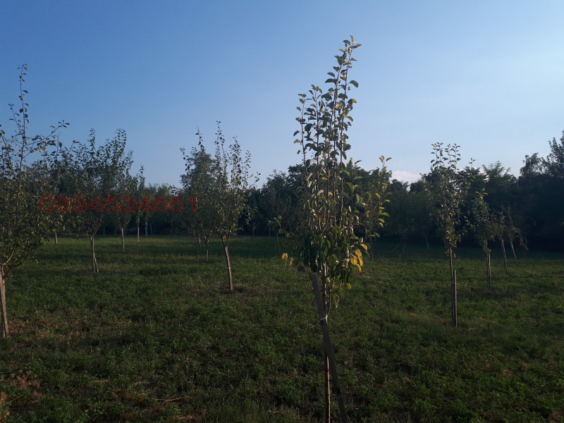 Продава ПАРЦЕЛ, с. Долна Вереница, област Монтана, снимка 7 - Парцели - 52779632