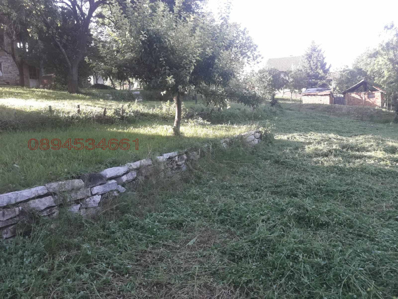 Продава ПАРЦЕЛ, с. Долна Вереница, област Монтана, снимка 6 - Парцели - 52779632