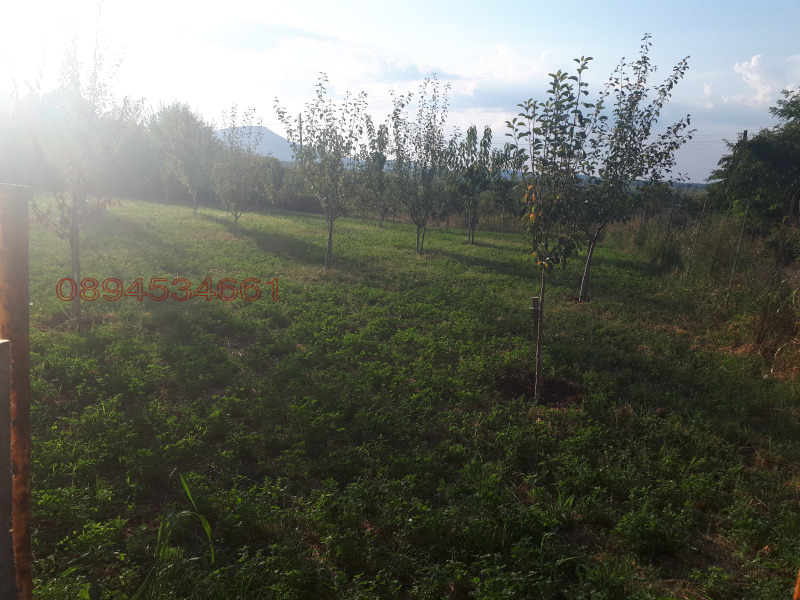 Продава ПАРЦЕЛ, с. Долна Вереница, област Монтана, снимка 9 - Парцели - 52779632