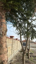 Продава ПАРЦЕЛ, с. Тимарево, област Шумен, снимка 2