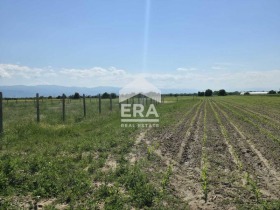 ������� ������ | Imot.bg � ����� ������ 8