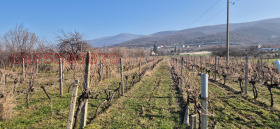 ������ ������� ���������� ����