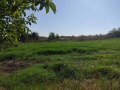 Продава ПАРЦЕЛ, с. Малка Смолница, област Добрич, снимка 2