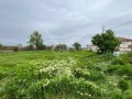 Продава КЪЩА, област Пловдив, с. Ръжево • 51000 € • 98996630 — Holmes.bg
