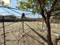 Продава КЪЩА, област Пловдив, с. Козаново • 190000 лв. • 24358299 — Holmes.bg