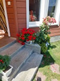 Продава ХОТЕЛ, област Пазарджик, гр. Сърница • 625000 € • 96640824 — Holmes.bg