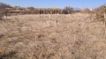 Продава ПАРЦЕЛ, област Пловдив, с. Черничево • 17500 лв. • 75301774 — Holmes.bg