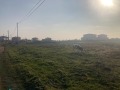 Продава ПАРЦЕЛ, област Добрич, с. Топола • 18000 € • 70538347 — Holmes.bg