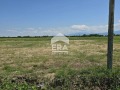 Продава ПАРЦЕЛ, област Пловдив, с. Войводиново • 63300 € / 123804.04 лв. • 92714620 12