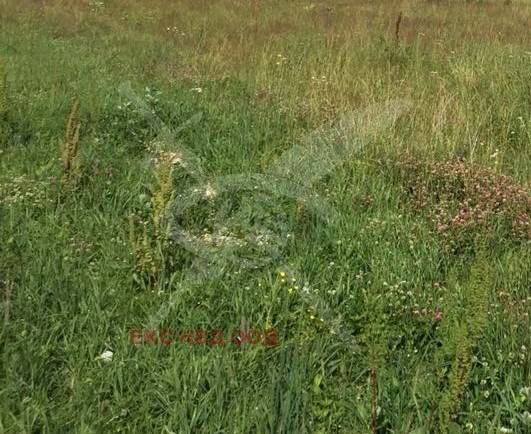 ������� ������ | Imot.bg � ����������� 1