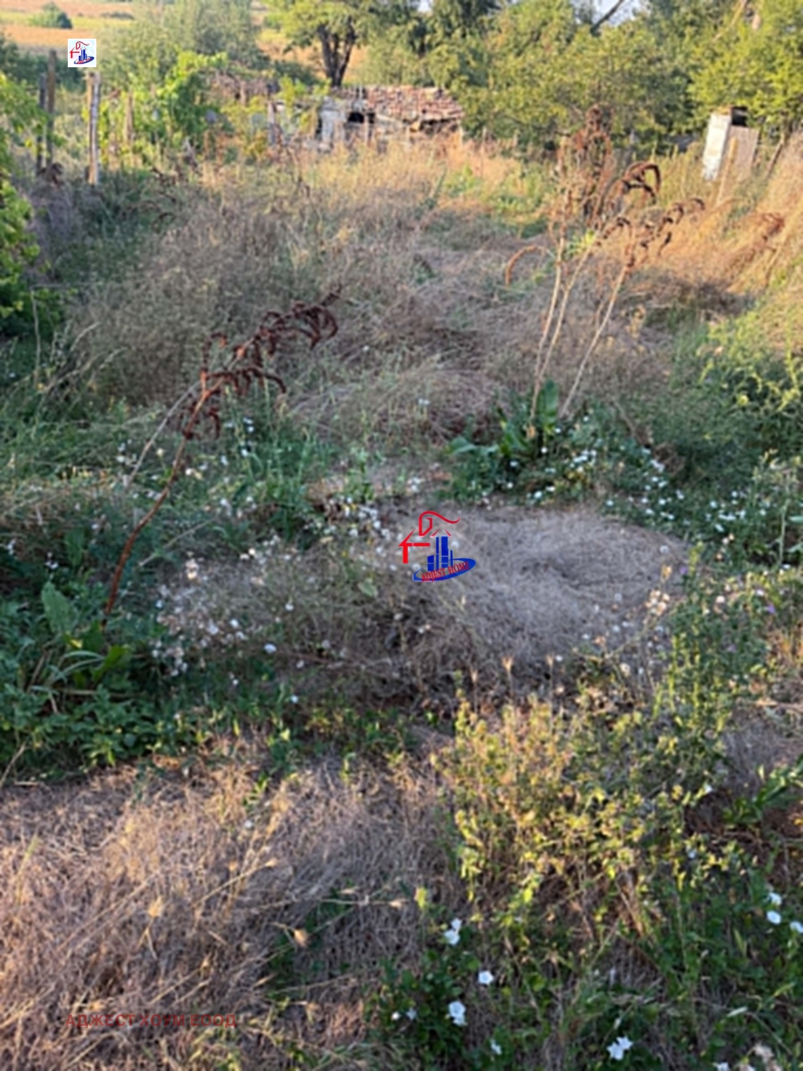 ������� ���� | Imot.bg � ����������� 4
