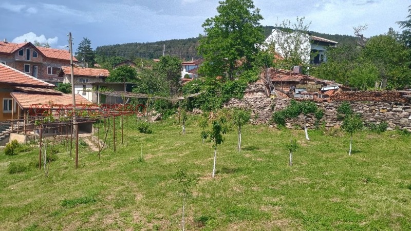 Продава КЪЩА, с. Змейово, област Стара Загора, снимка 12 - Къщи - 52783096