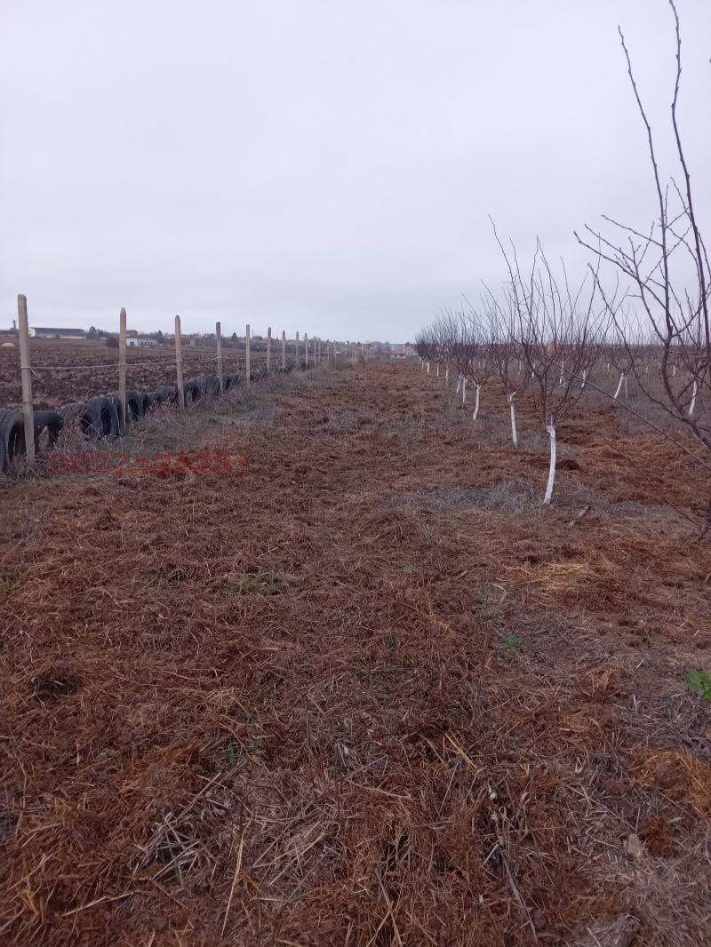 Продава ЗЕМЕДЕЛСКА ЗЕМЯ, гр. Варна, м-т Добрева чешма, снимка 3 - Земеделска земя - 52783873