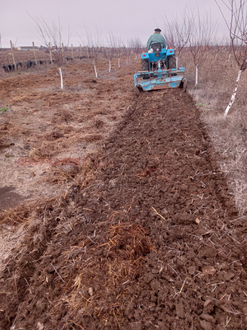 Продава ЗЕМЕДЕЛСКА ЗЕМЯ, гр. Варна, м-т Добрева чешма, снимка 4 - Земеделска земя - 52783873