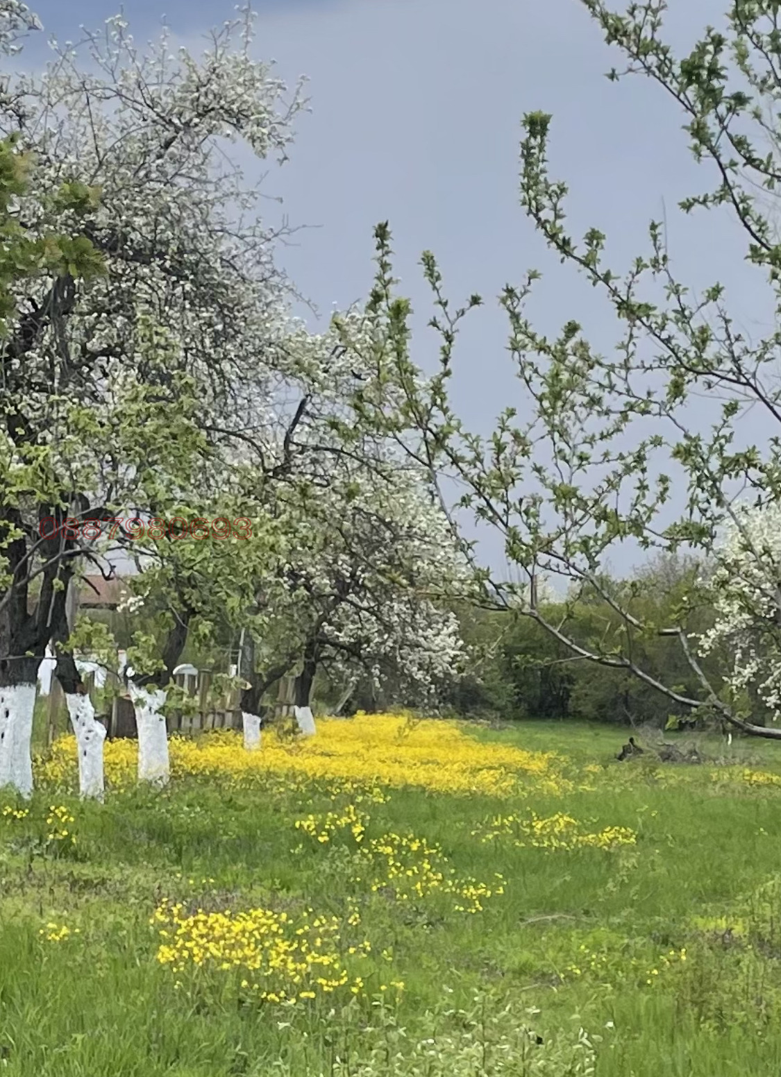 ������� ������ | Imot.bg � ����������� 1