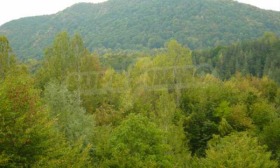 ������� ������ | Imot.bg � ����� ������ 2