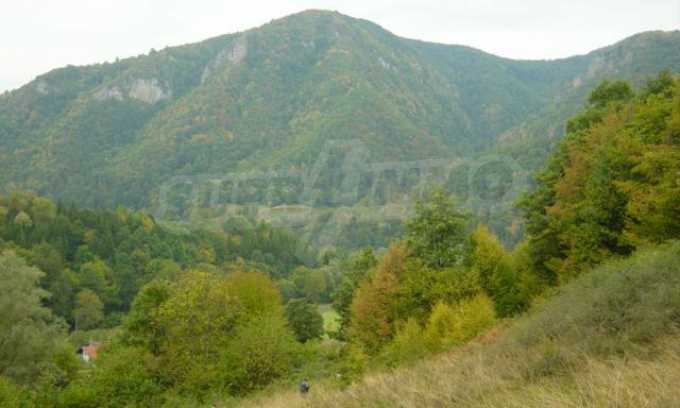 Продава  Парцел област Ловеч , с. Рибарица , 3365 кв.м | 68480490